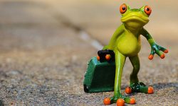 ceramic-frog-with-suitcase