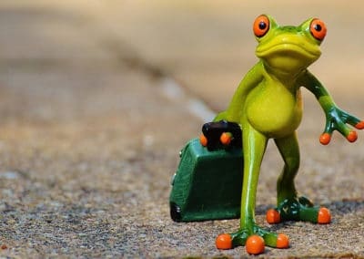 ceramic-frog-with-suitcase