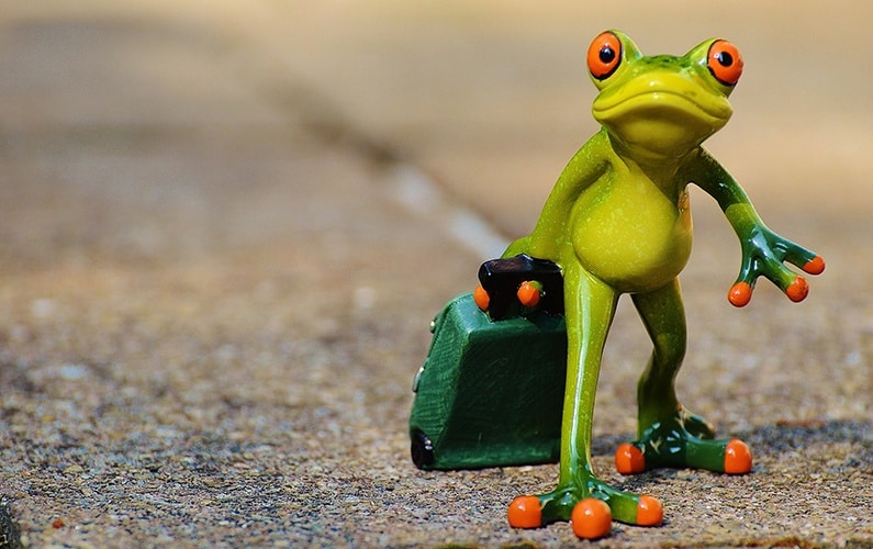 ceramic-frog-with-suitcase